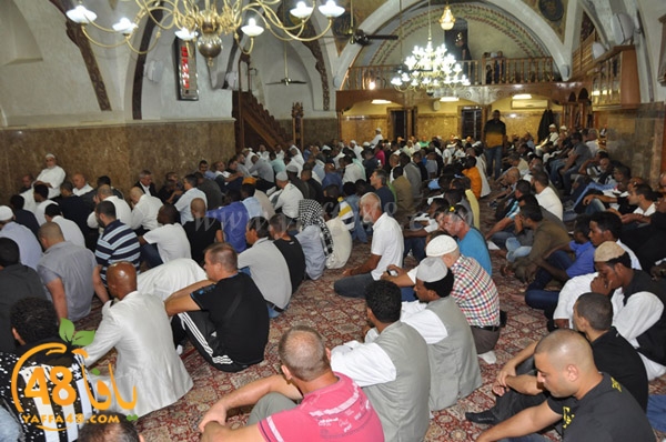 3ed ad7a ma7modiya (7).JPG